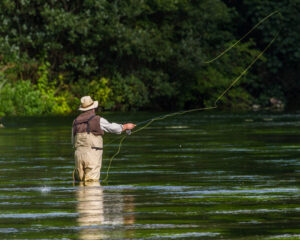 Fly Rods