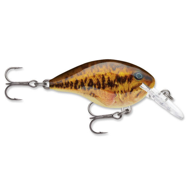 Rapala Dives-To Swimming Depth of 4 Feet Lure ~ – Solomons Tackle