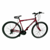 Rally Santa Fee 21 Speed 29inch Mountain Bike