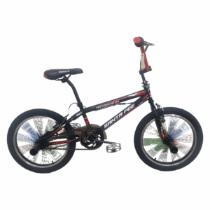 Thunder MC49 20-Inch Santa Fee BMX Bike