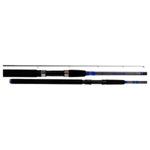 Loomis Agulhas XH 2PC Spinning Rod