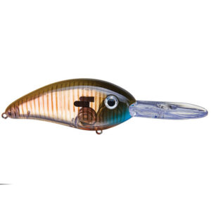 Bomber FF Shad