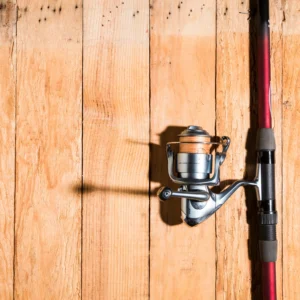Carp Rods