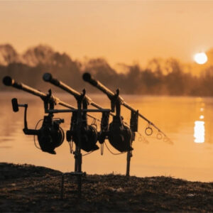 Carp Combos