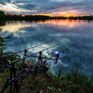 Carp Rods
