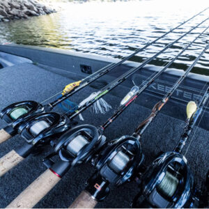 Bass Casting Rods