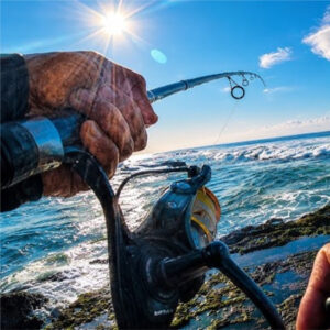 Surf Spin Rods