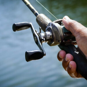 Bass Casting Rods